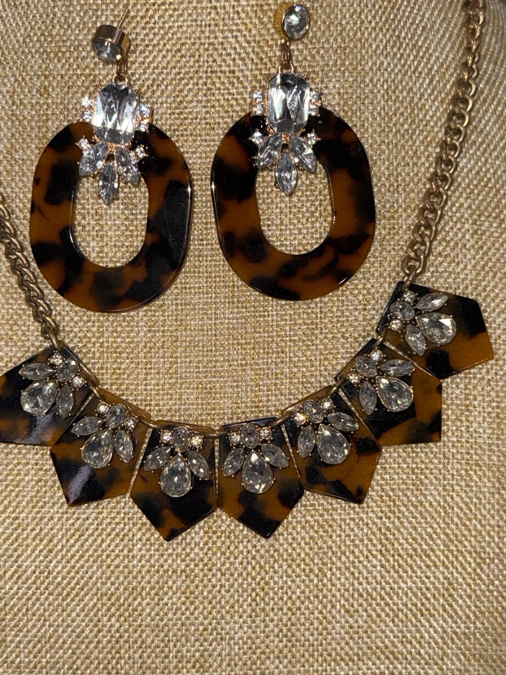 J.Crew Tortoiseshell Statement Necklace & (not J.Crew) Earrings